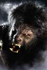 [wolfman_universal.jpg]
