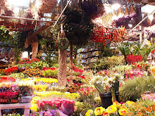 amsterdam flowermarket