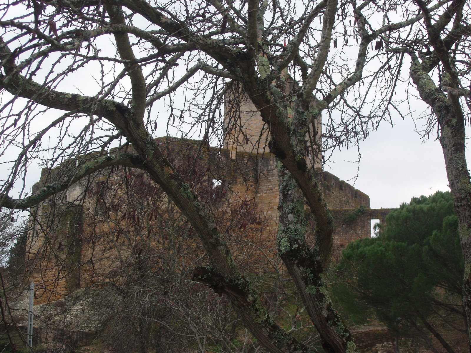 [Castelo+de+Tomar.JPG]