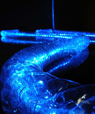 Giant Siphonophore