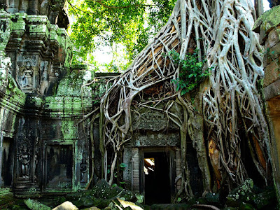 Indian Jungle Ruins