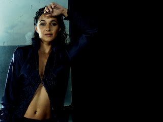 Free wallpapers without watermarks of Emmanuelle Chriqui at Fullwalls.blogspot.com