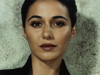 Free wallpapers without watermarks of Emmanuelle Chriqui at Fullwalls.blogspot.com