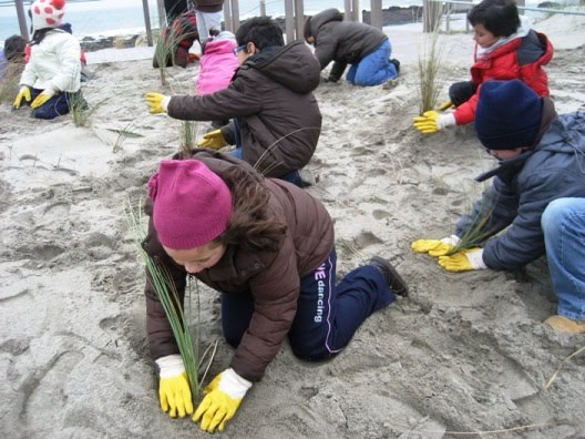 [praiaviana2009.jpg]