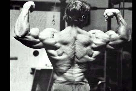 arnold schwarzenegger bodybuilding back. arnold schwarzenegger#39;s?