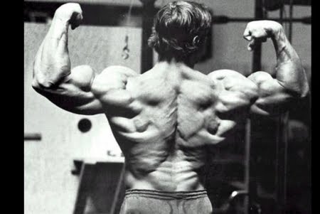 s400arnold-schwarzenegger-bodybuilding-2011.jpgp