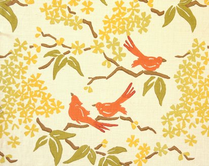 [birds.jpg]