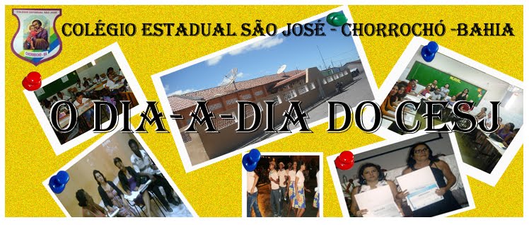 O Dia a Dia