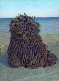 Pooley Dog