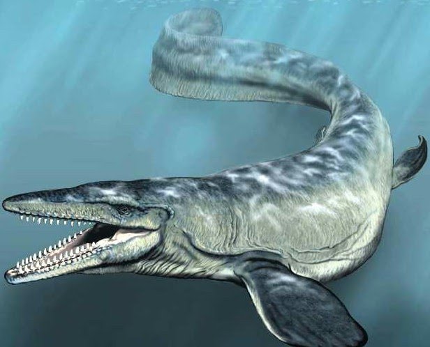 [mosasaur.bmp]