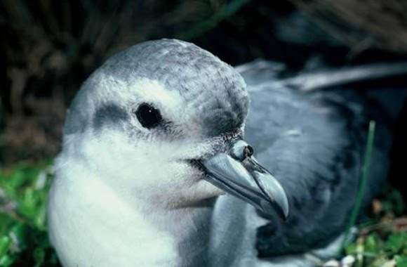 [128_image_main.bmp]