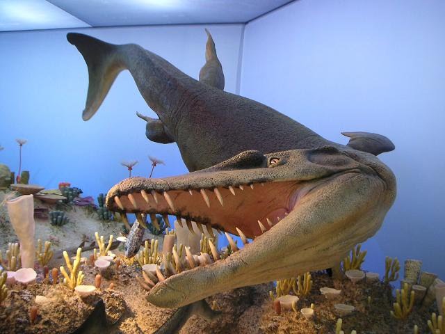 [dakosaurus-maximus-1.bmp]