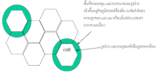 รูปที่ 6 Callular Neywork Architecture 1