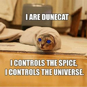 wir052-dune-cat.jpg