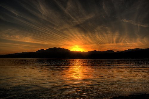 [3231170774_cb990866af.jpg]