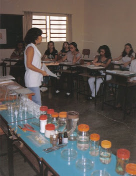 FORMAÇÃO CONTINUADA DE PROFESSORES DO ENSINO FUNDAMENTAL - ESCOLA DA TERRA