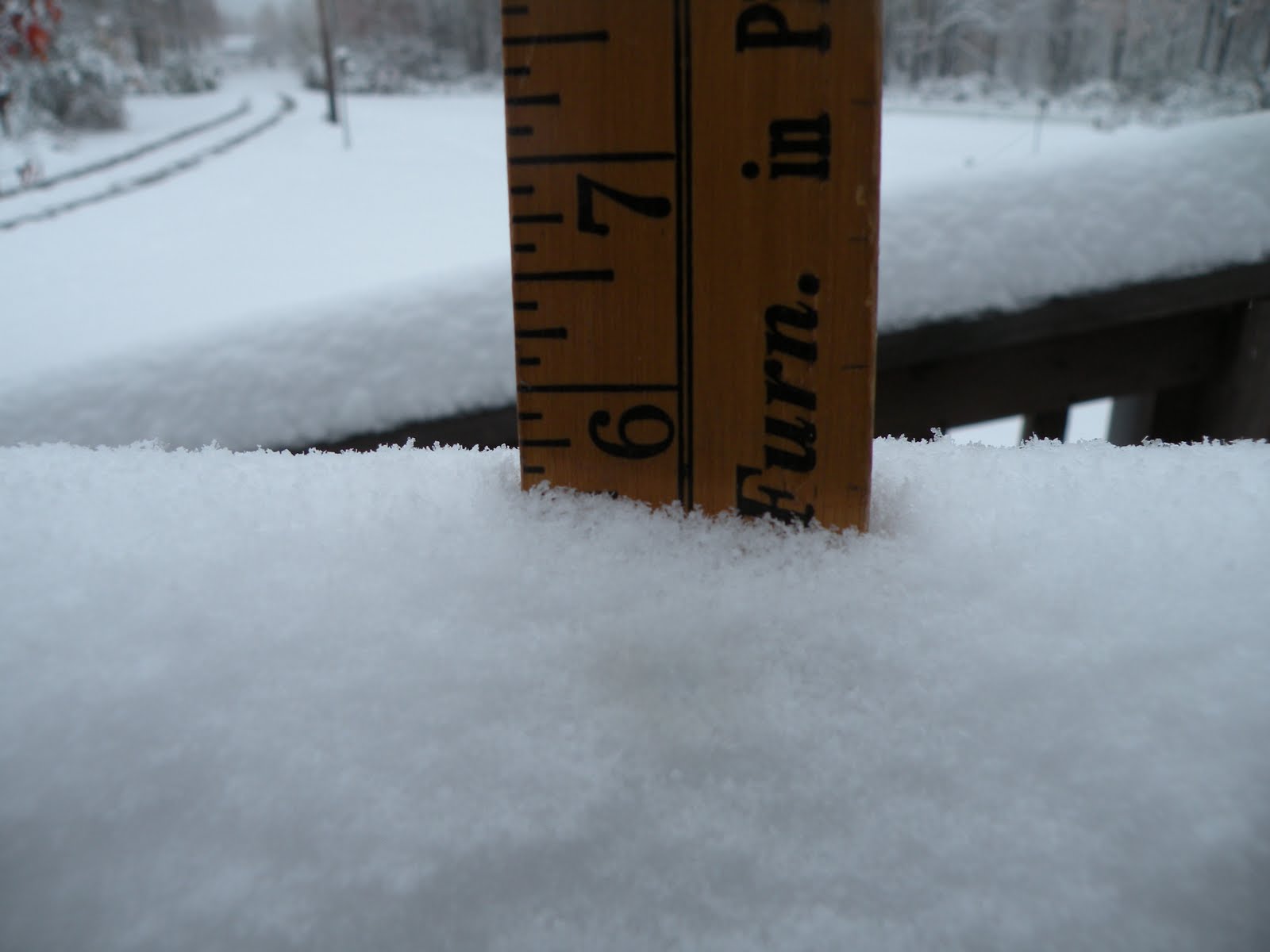 [FirstSnowFall.JPG]