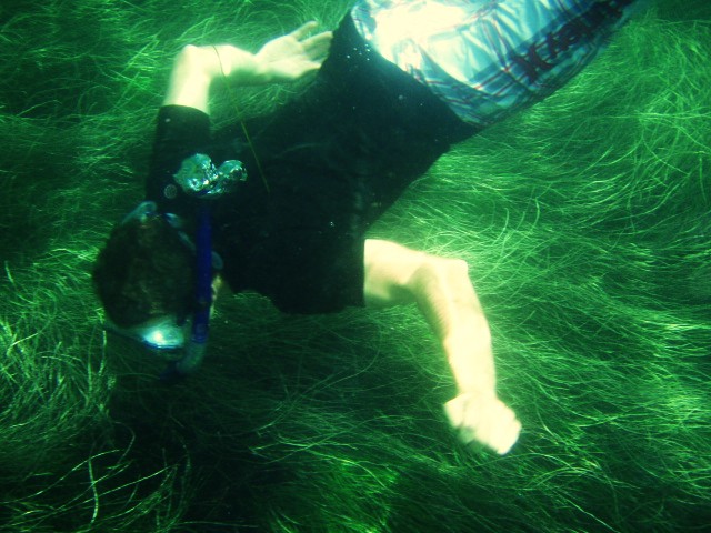 [Snorkeling!+013.JPG]