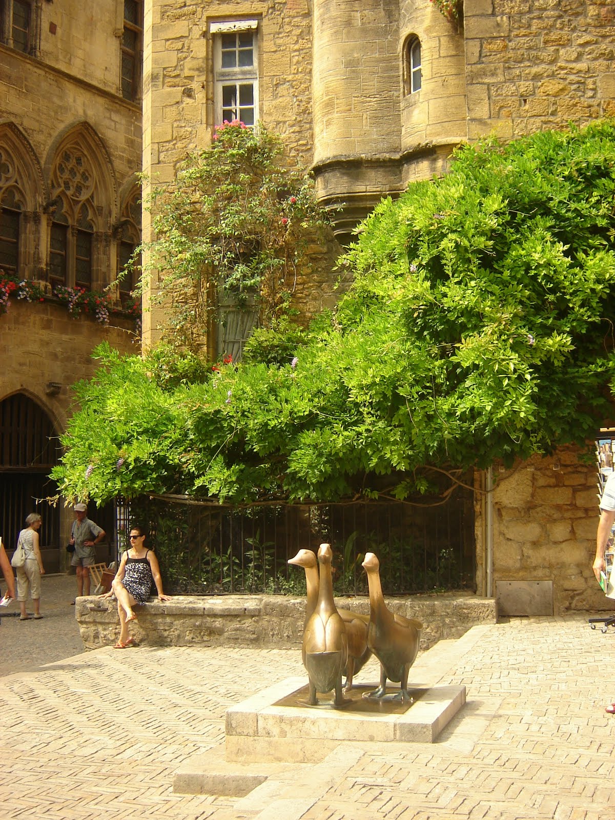[DSC06534.JPG]