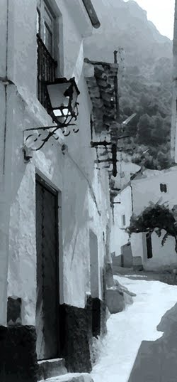 Calle típica
