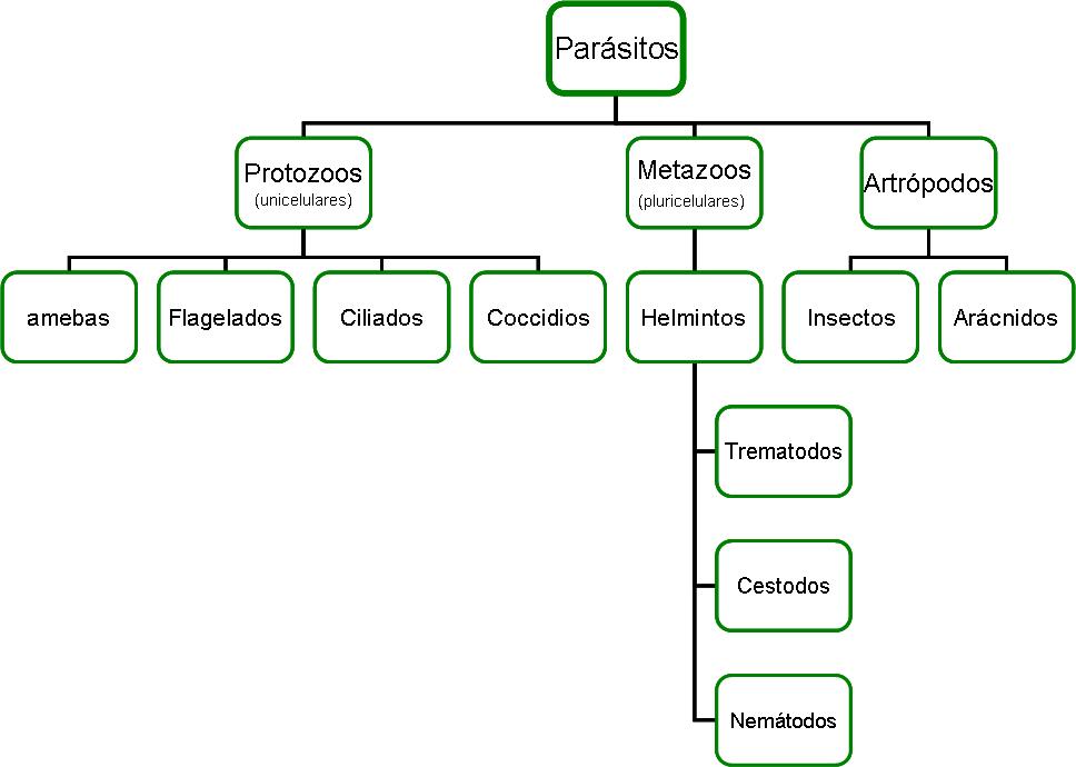 prevención