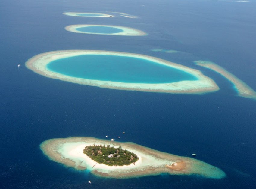 TYWKIWDBI ("TaiWikiWidbee") The Maldives are NOT sinking