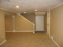 Finished Basement, Stairwell area after