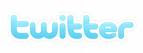 twitter logo text button
