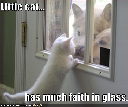 [Littlecat128399840752530932.jpg]