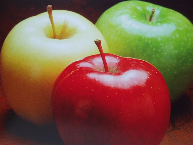 Pomas JungleKey.fr Image 50