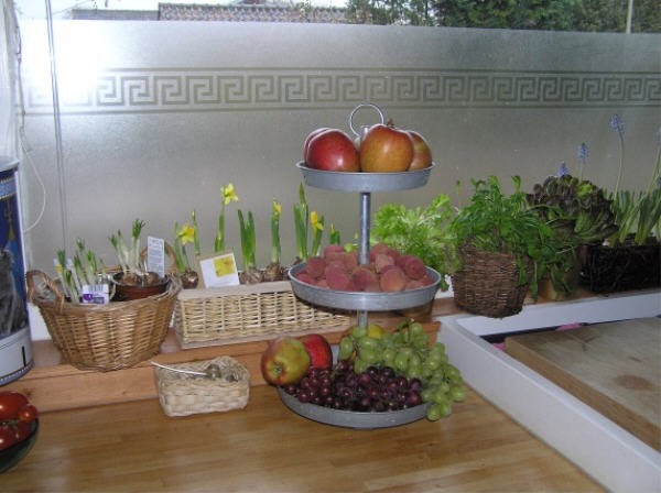 BLISS: My Kitchen Kitchen Garden