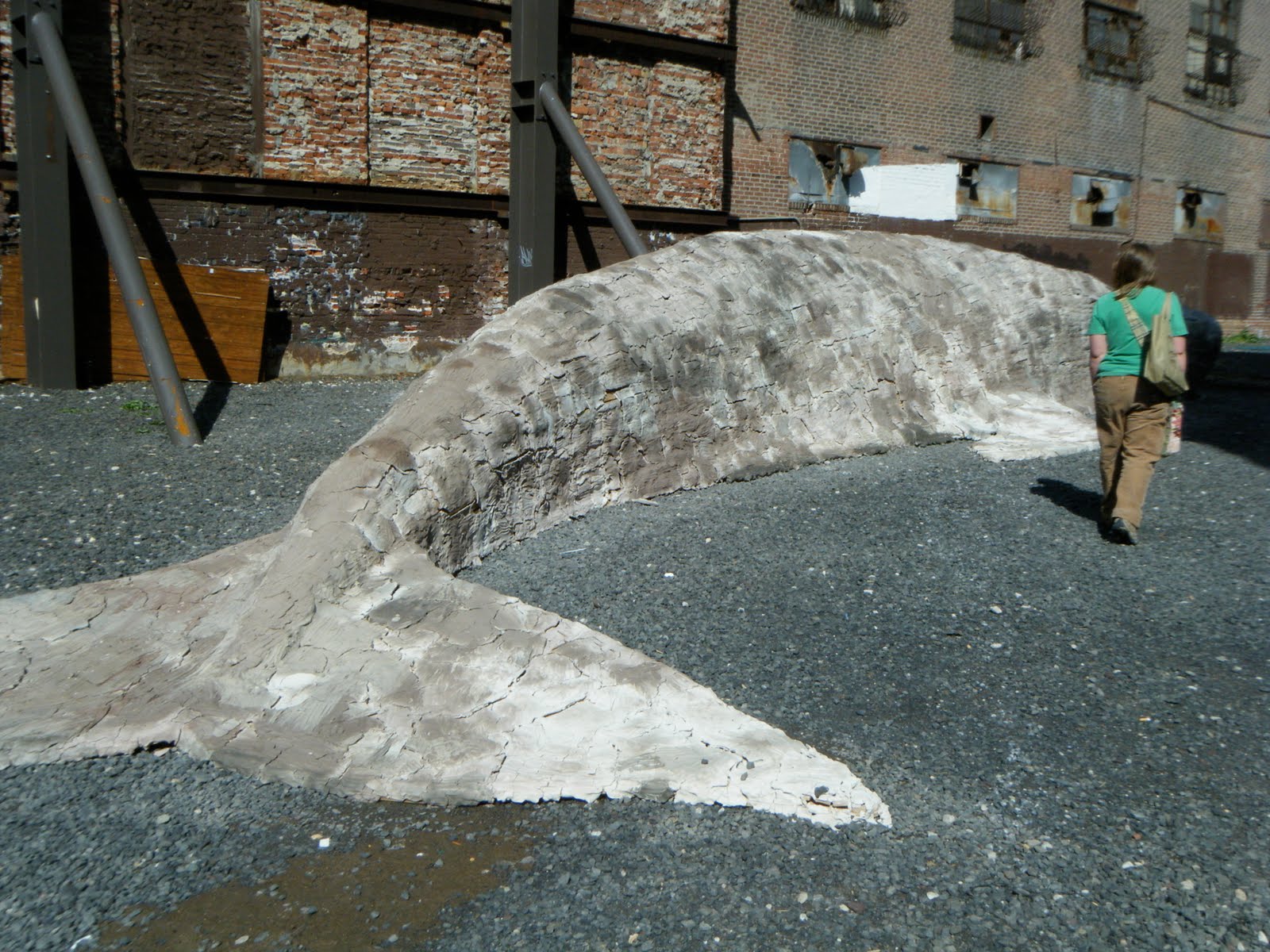 Clay Whale