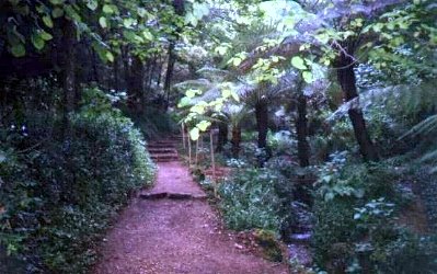 [vale+dos+fetos.bmp]