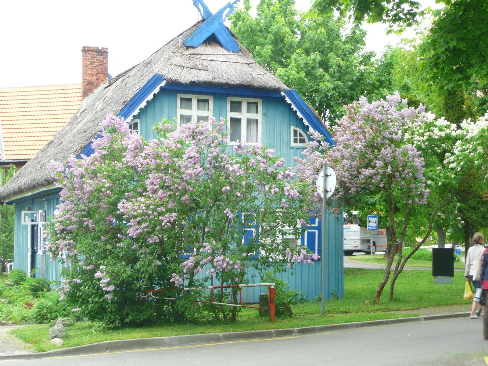 [P1060514.JPG]