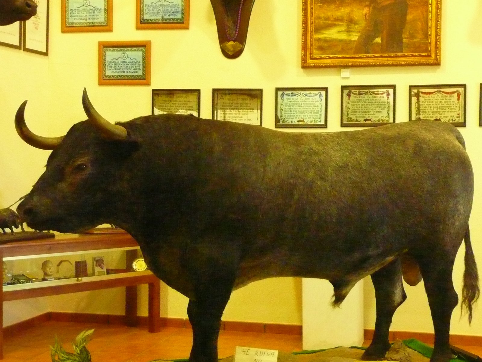 [P1070386.JPG]