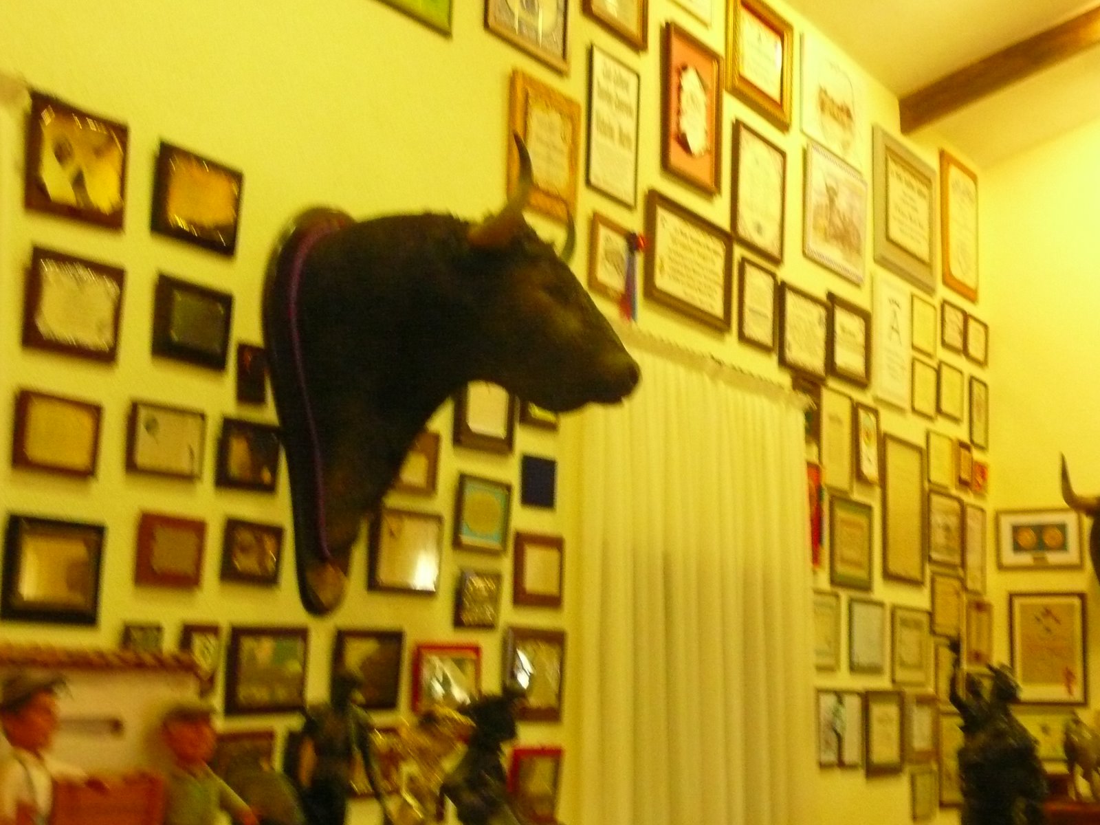 [P1070384.JPG]