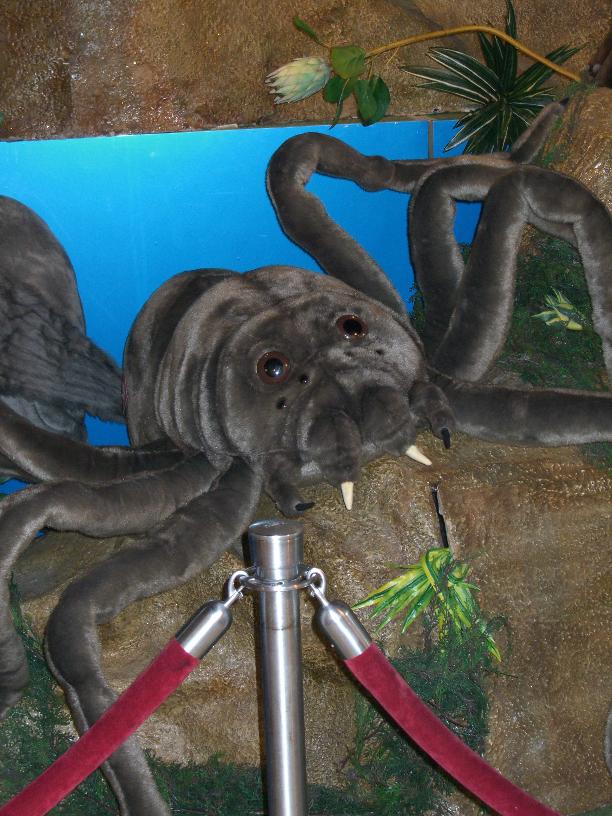 [Aragog+at+FAO.JPG]
