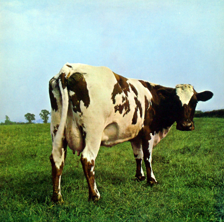 atom heart mothe atom heart mothe