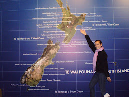 Te Papa Museum