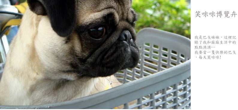 巴戈-笑咪咪博覽卉