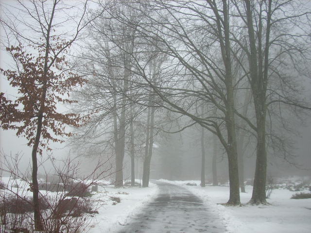 [DSCN9356.JPG]