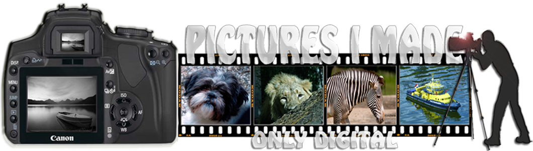 Pictures.I.Made