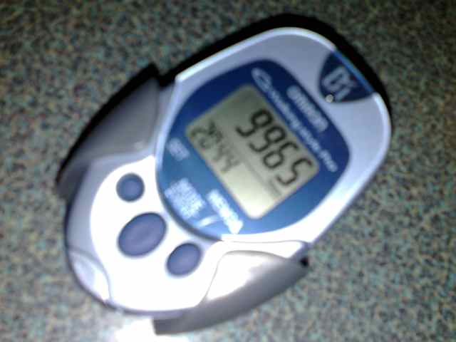 [pedometer.jpg]