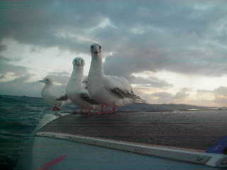 [IMGP0043-746041.JPG]