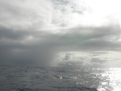 [Day+41+-+storm+coming-725465.jpg]