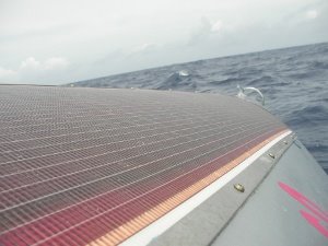 [Day+42+solar+panels-725847.JPG]