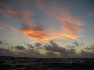 [Day+43+-+sunrise-725829.JPG]