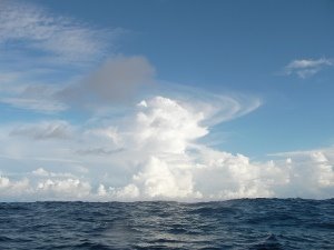 [Day+63+-+cloudscape-726134.JPG]