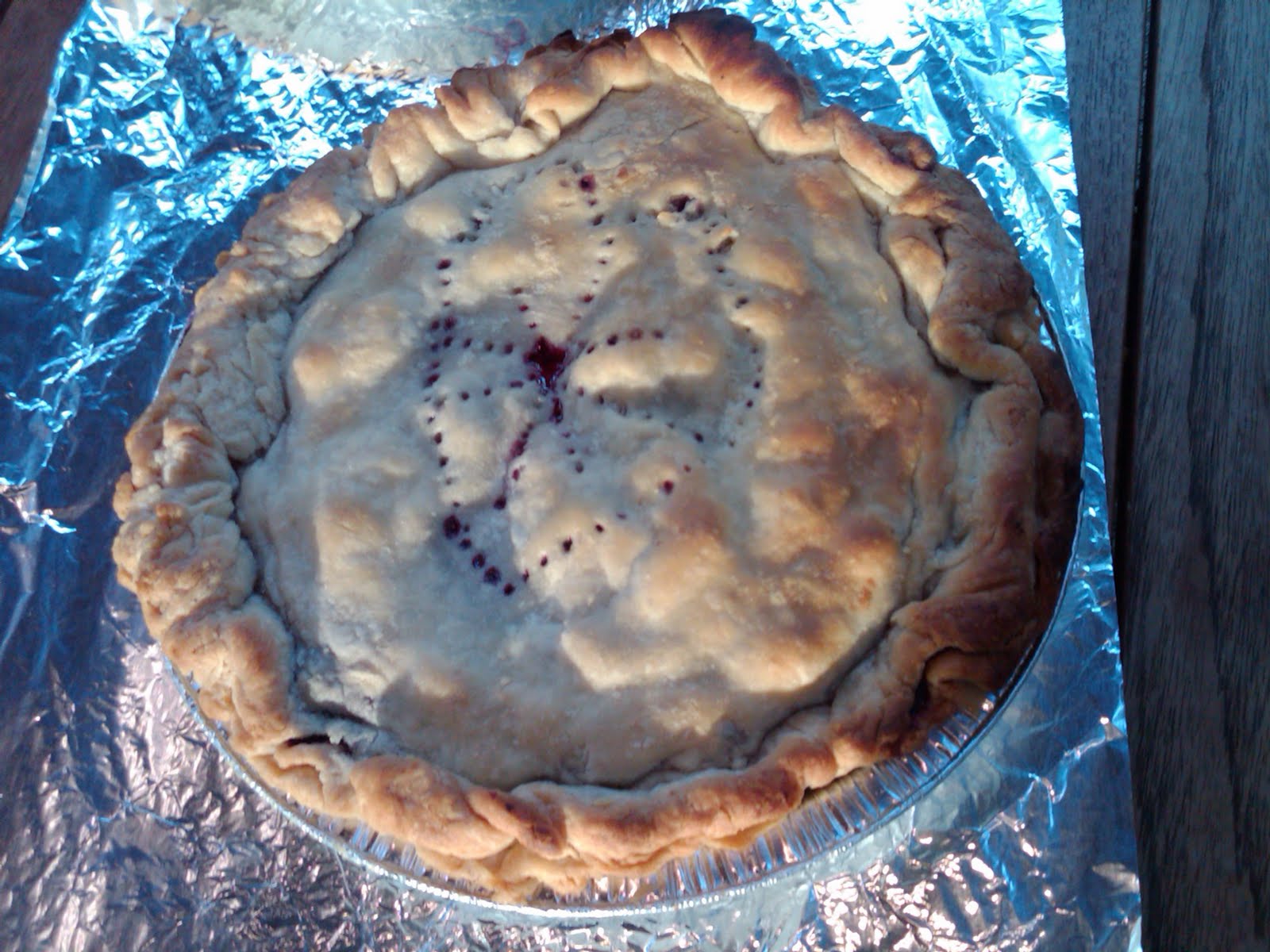 [first+pie+of+the+shoot_18Jan2010.jpg]