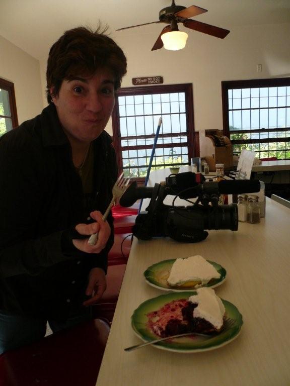 [AP_Janice+samples+pie.jpg]